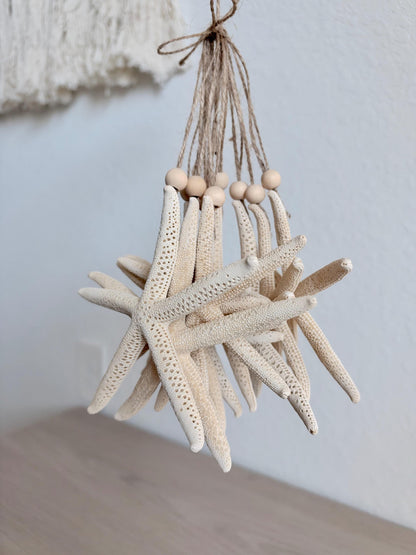 Handmade White Pencil Starfish Ornaments: Set of 6, Natural Seashell Christmas Tree Decoration