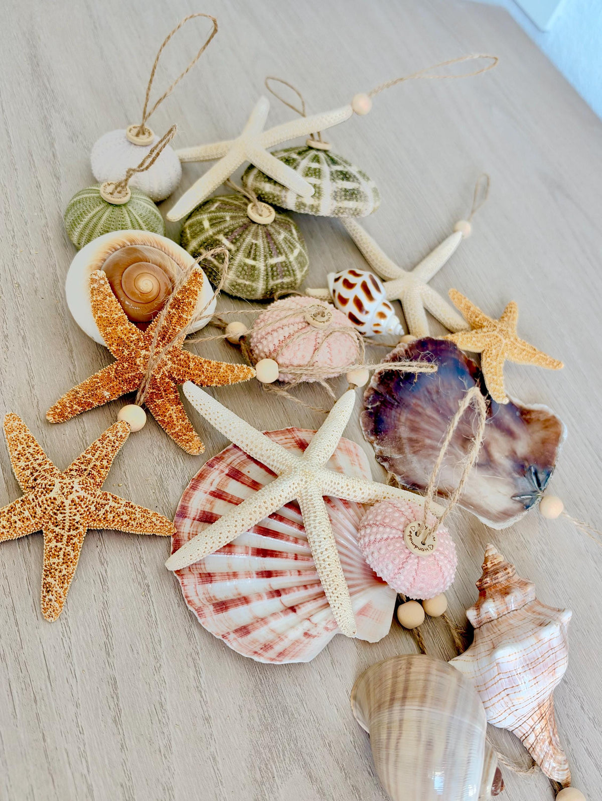 Handmade Seashells, Urchins, Starfish Ornament Set of 6, Natural Christmas Tree Decoration
