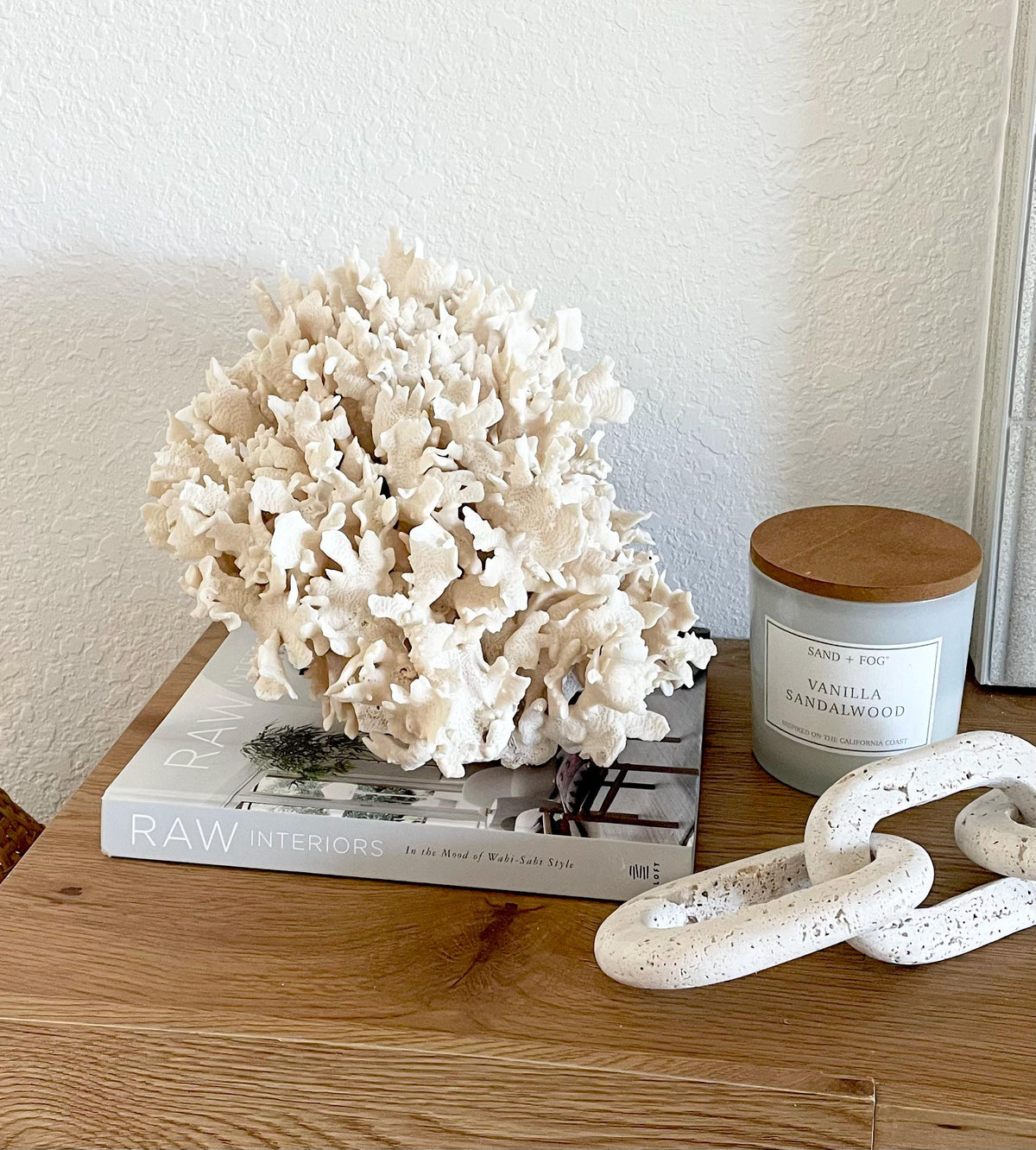 Beige Cactus Coral Fossil 13.5" x 11.5" x 10.5" XL Extra LARGE 100% Natural Specimen