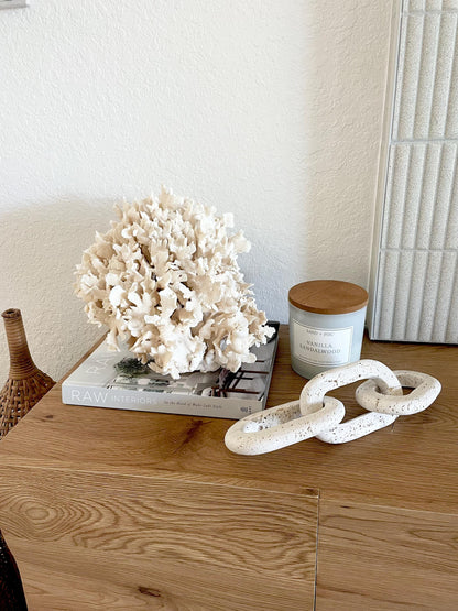 Beige Cactus Coral Fossil 13.5" x 11.5" x 10.5" XL Extra LARGE 100% Natural Specimen