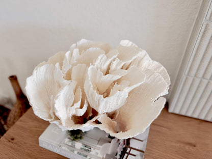 Natural Poca Coral Fossil: 12.75" x 10" x 8.75" Coastal Beach House White Décor