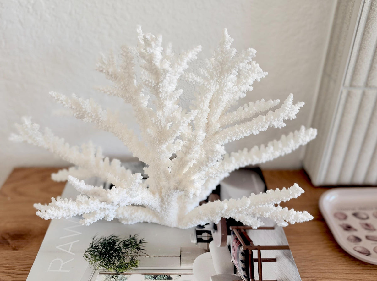 Branch Coral Fossil Specimen: 14.5" x 9.75"x 6" Coastal Beach House Décor