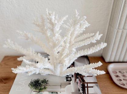Branch Coral Fossil Specimen: 14.5" x 9.75"x 6" Coastal Beach House Décor
