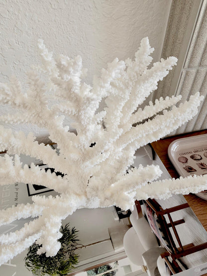 Branch Coral Fossil Specimen: 14.5" x 9.75"x 6" Coastal Beach House Décor
