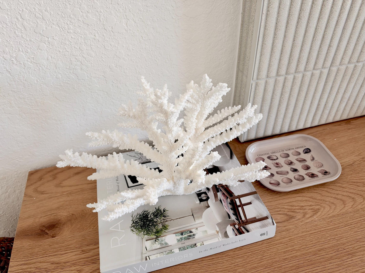 Branch Coral Fossil Specimen: 14.5" x 9.75"x 6" Coastal Beach House Décor