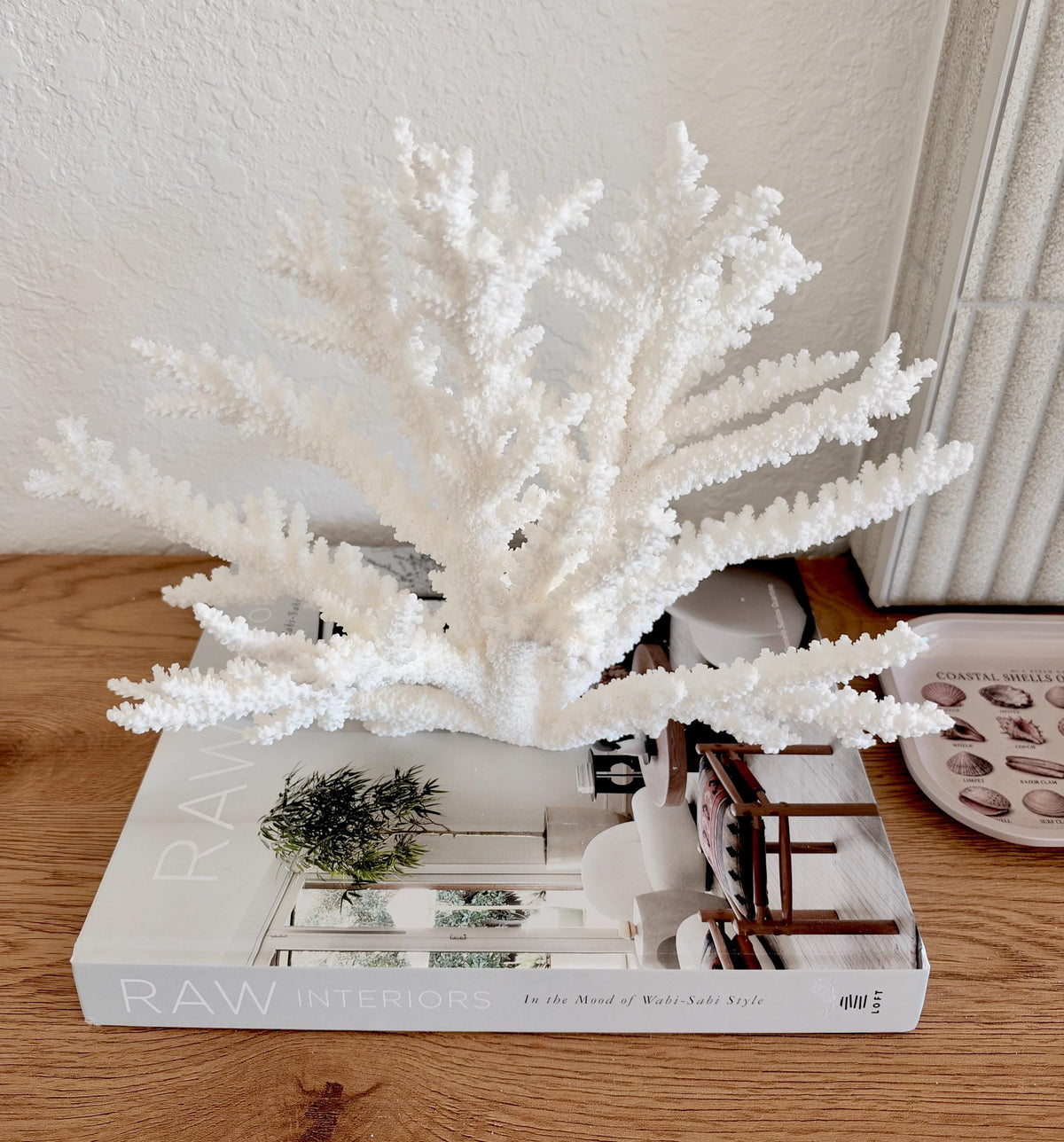 Branch Coral Fossil Specimen: 14.5" x 9.75"x 6" Coastal Beach House Décor