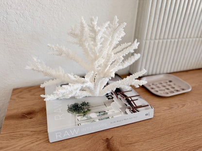 Branch Coral Fossil Specimen: 14.5" x 9.75"x 6" Coastal Beach House Décor