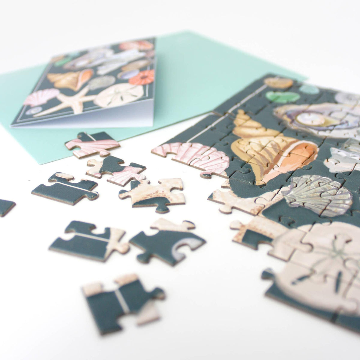 Seashells Puzzle Greeting Card: Beachy Coastal Lovers Gift