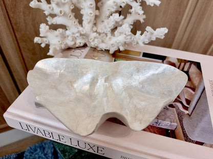 Capiz Clam Shell Bowl 8"x4"x3" Scalloped Edge Dish Seashell Ivory Coastal Home Décor