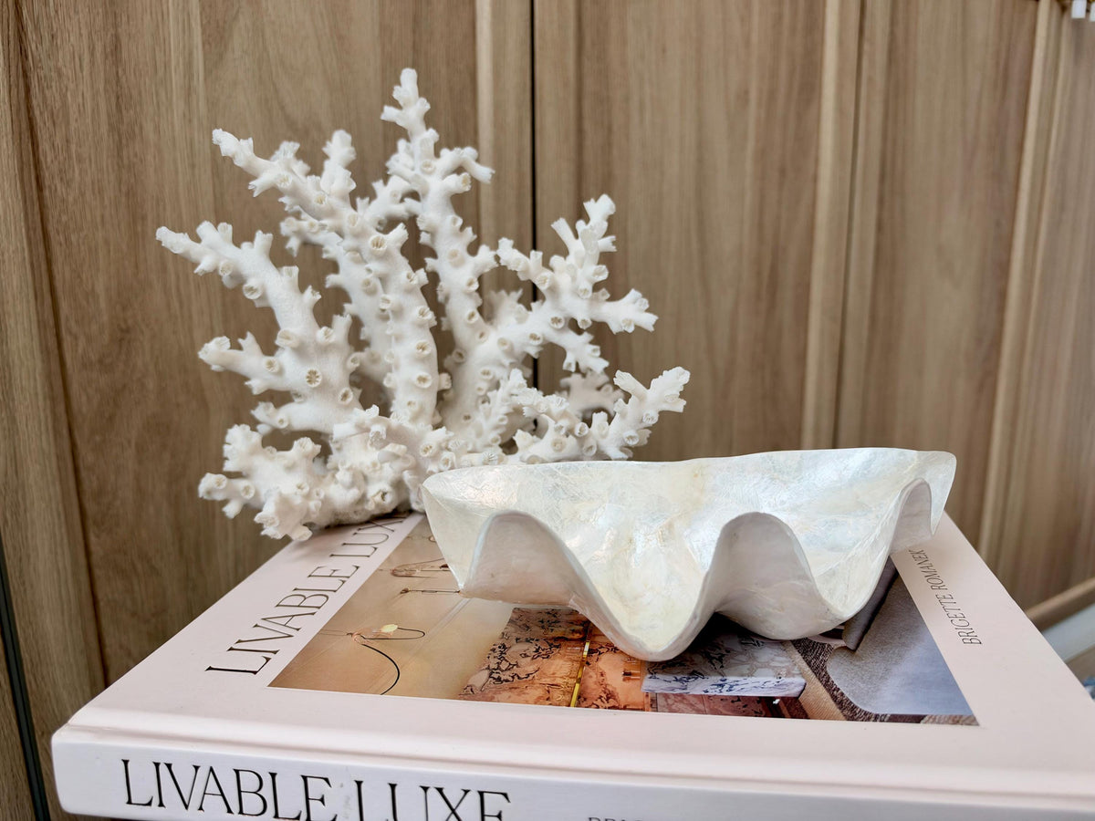 Capiz Clam Shell Bowl 8"x4"x3" Scalloped Edge Dish Seashell Ivory Coastal Home Décor