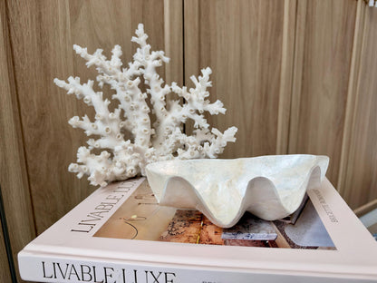 Capiz Clam Shell Bowl 8"x4"x3" Scalloped Edge Dish Seashell Ivory Coastal Home Décor