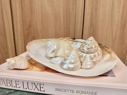 Mother of Pearl Seashells in Clam Shell Plate – Set of 7 Luxury Coastal Tray Dish