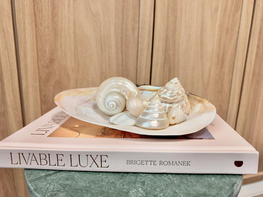 Mother of Pearl Seashells in Clam Shell Plate – Set of 7 Luxury Coastal Tray Dish