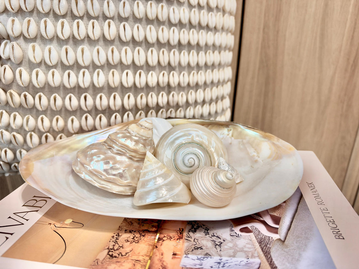 Mother of Pearl Seashells in Clam Shell Plate – Set of 7 Luxury Coastal Tray Dish