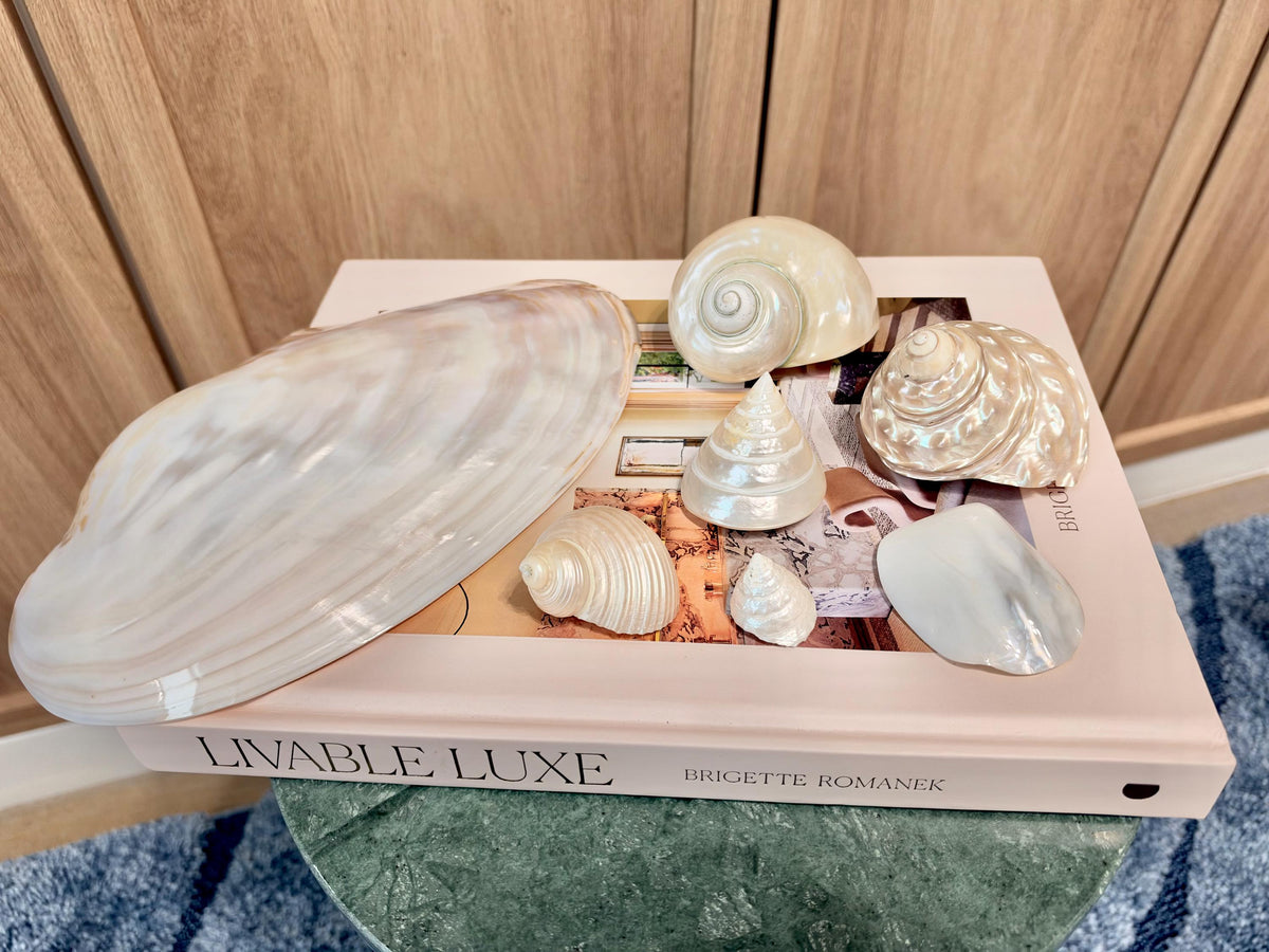 Mother of Pearl Seashells in Clam Shell Plate – Set of 7 Luxury Coastal Tray Dish