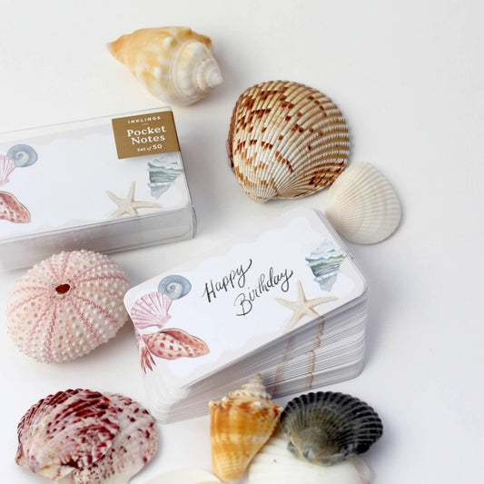 Seashell Notecards: Set of 50, Coastal Gift