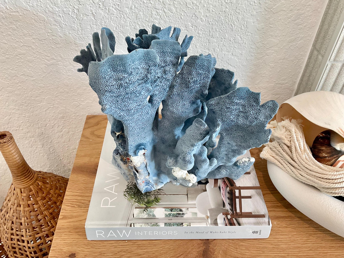 Blue Ridge Coral Fossil Specimen: 11" x 10.5" x 8" Coastal Beach House Décor