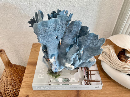 Blue Ridge Coral Fossil Specimen: 11" x 10.5" x 8" Coastal Beach House Décor