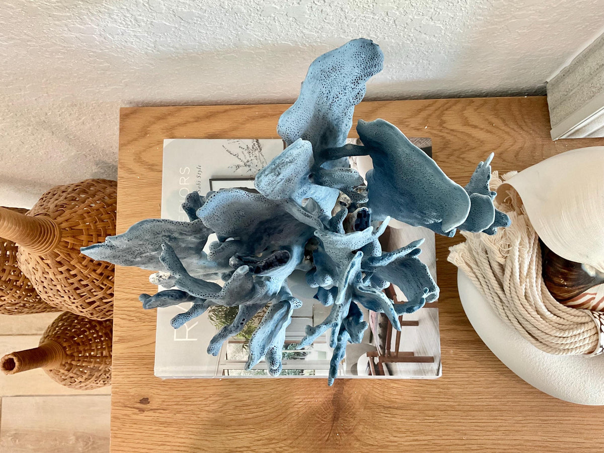 Blue Ridge Coral Fossil Specimen: 11" x 10.5" x 8" Coastal Beach House Décor