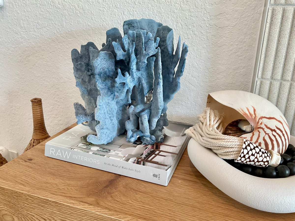 Blue Ridge Coral Fossil Specimen: 11" x 10.5" x 8" Coastal Beach House Décor