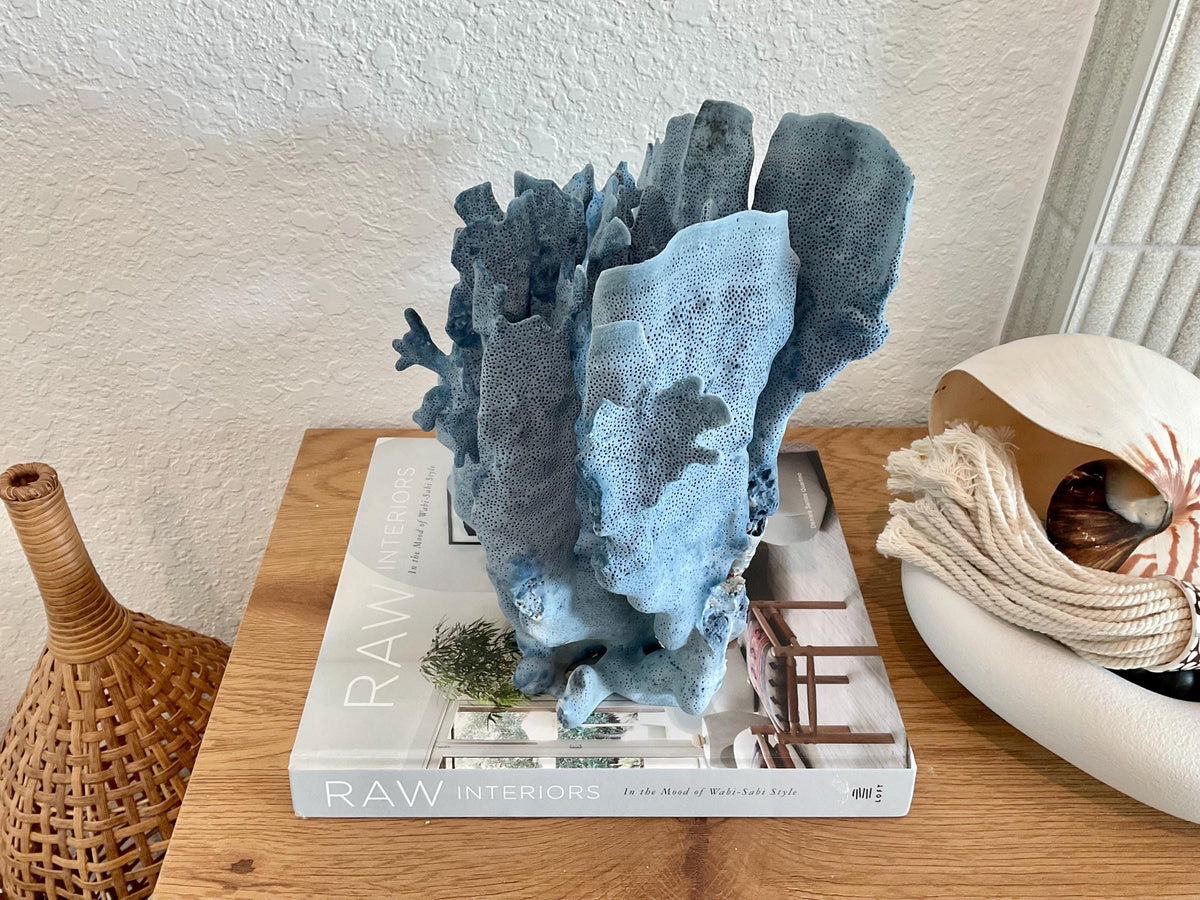 Blue Ridge Coral Fossil Specimen: 11" x 10.5" x 8" Coastal Beach House Décor