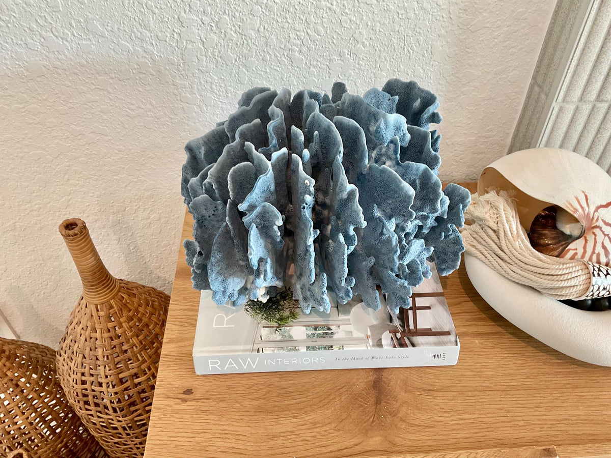 Blue Ridge Coral Fossil Specimen: 12" x 9" x 9" Coastal Beach House Décor