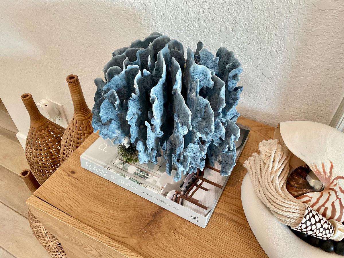 Blue Ridge Coral Fossil Specimen: 12" x 9" x 9" Coastal Beach House Décor