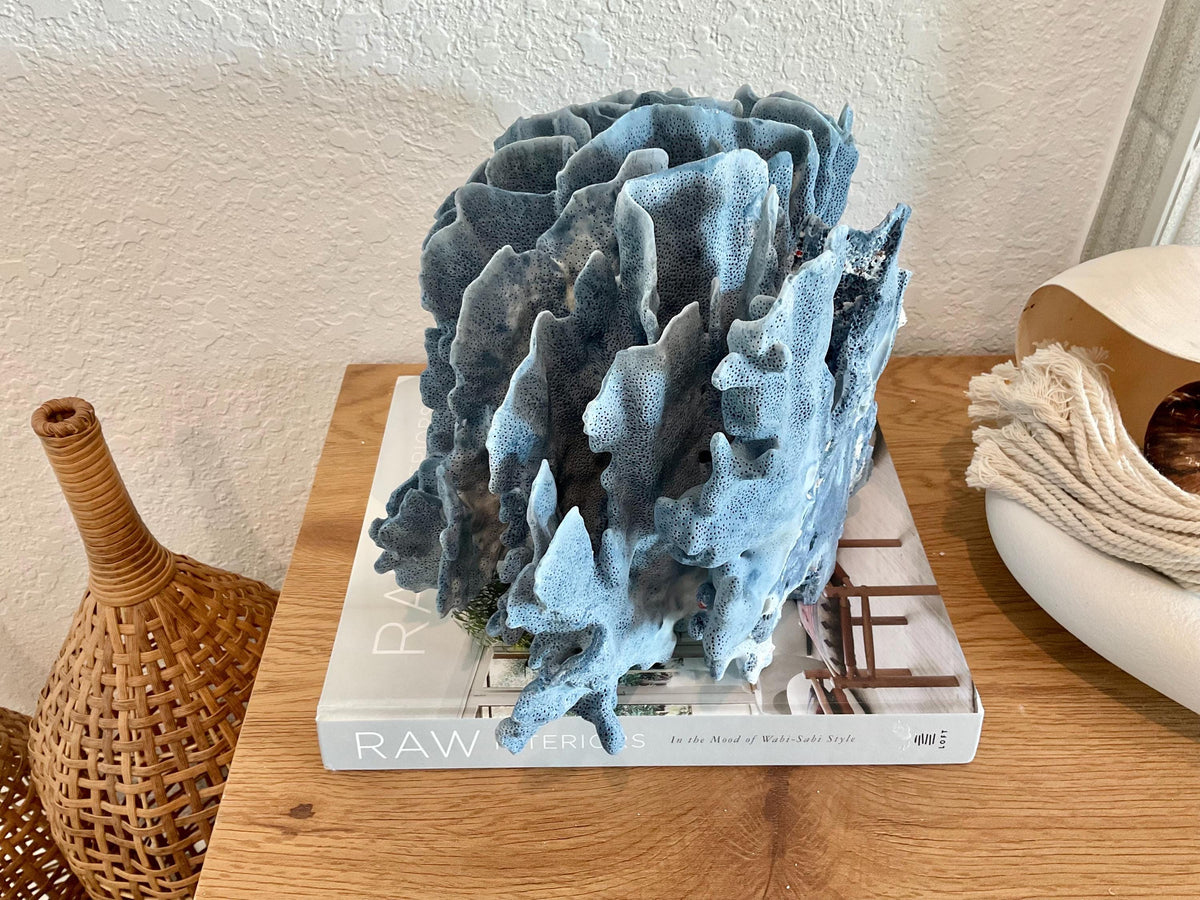 Blue Ridge Coral Fossil Specimen: 12" x 9" x 9" Coastal Beach House Décor