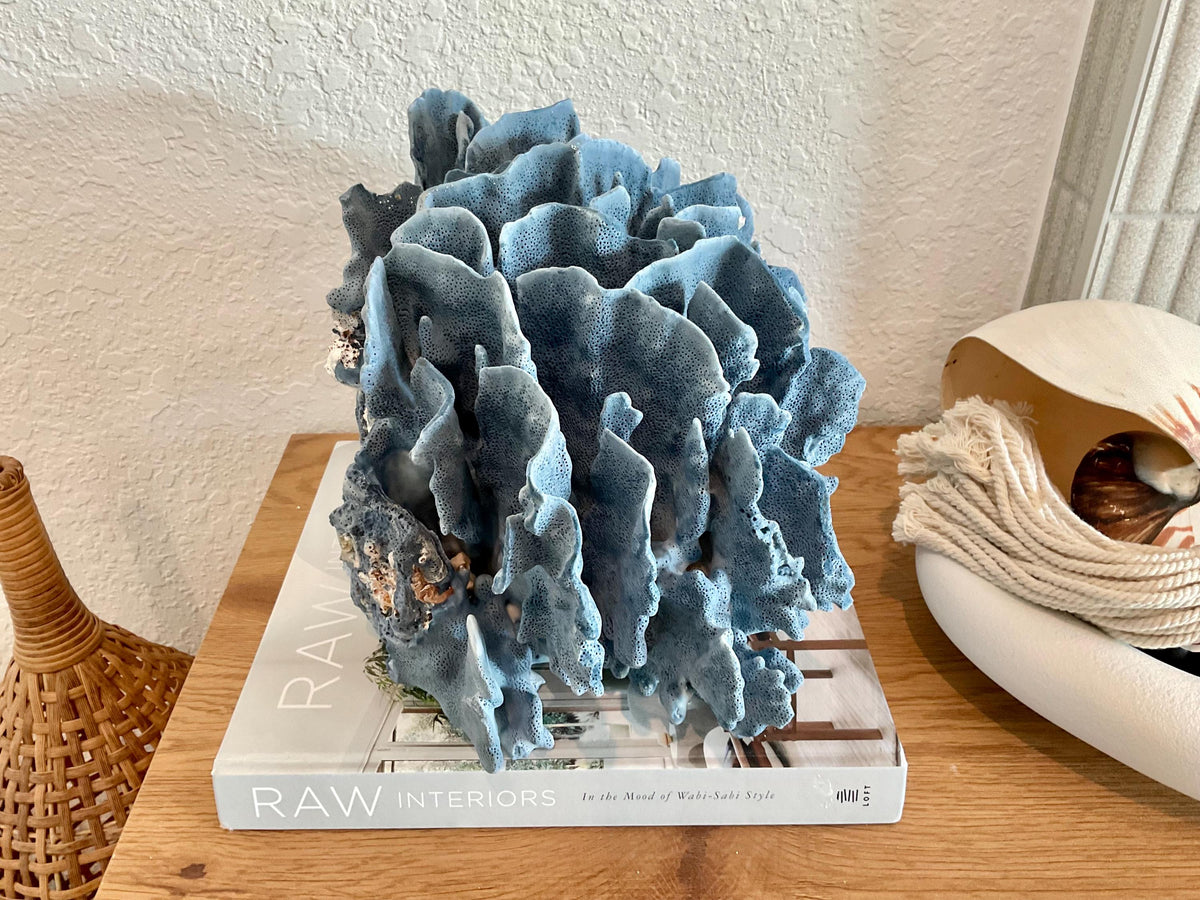Blue Ridge Coral Fossil Specimen: 12" x 9" x 9" Coastal Beach House Décor
