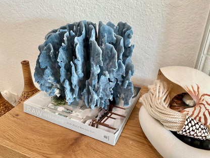 Blue Ridge Coral Fossil Specimen: 12" x 9" x 9" Coastal Beach House Décor