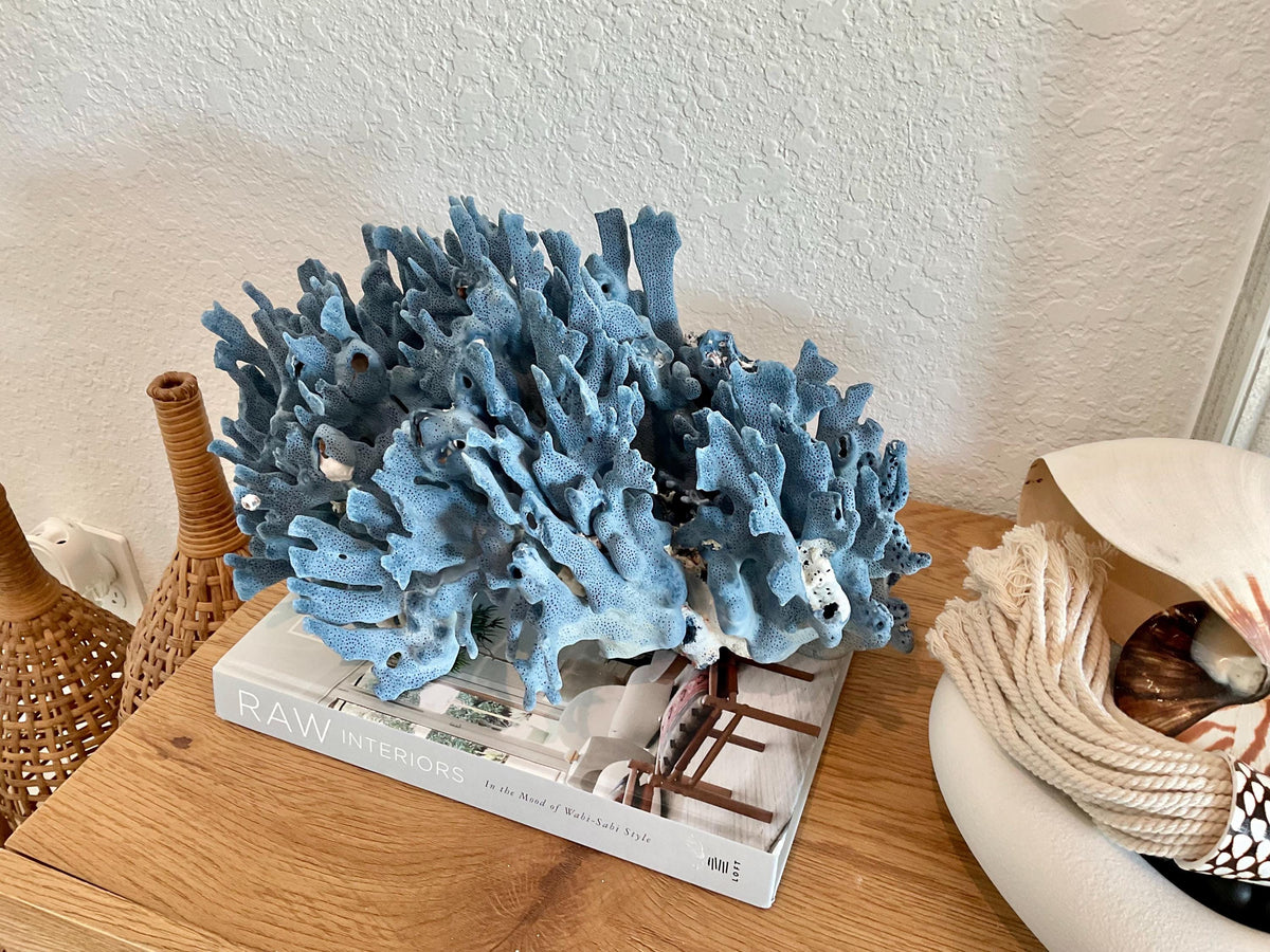 Blue Ridge Coral Fossil Specimen: 14" x 9" x 8” Coastal Beach House Décor