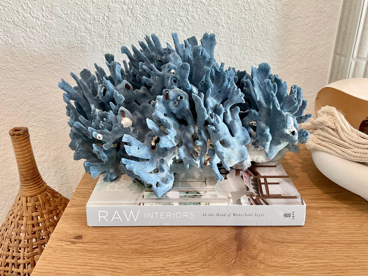 Blue Ridge Coral Fossil Specimen: 14" x 9" x 8” Coastal Beach House Décor