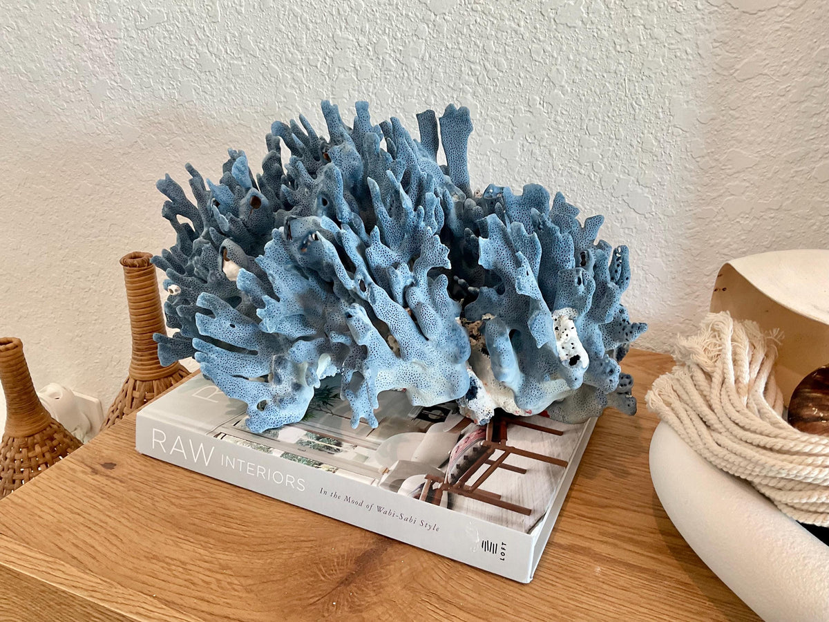 Blue Ridge Coral Fossil Specimen: 14" x 9" x 8” Coastal Beach House Décor