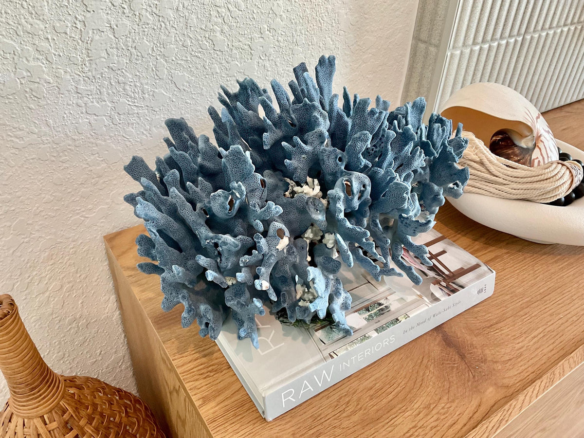 Blue Ridge Coral Fossil Specimen: 14" x 9" x 8” Coastal Beach House Décor