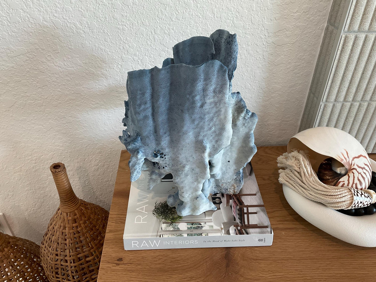 Blue Ridge Coral Fossil Specimen: 15.5" x 11" x 9” Coastal Beach House Décor