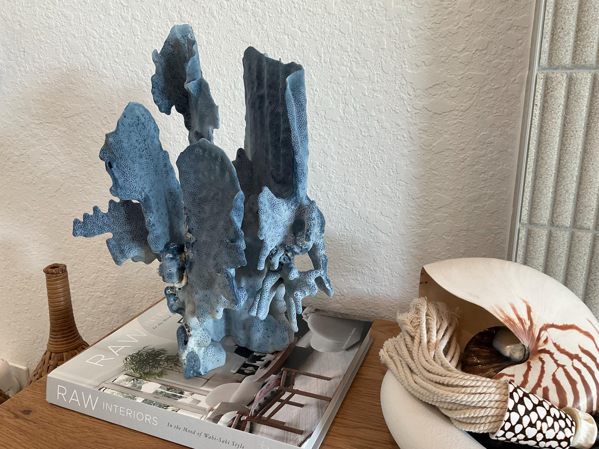 Blue Ridge Coral Fossil Specimen: 15.5" x 11" x 9” Coastal Beach House Décor