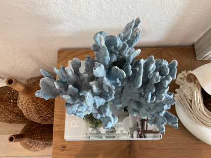 Blue Ridge Coral Fossil Specimen: 14" x 11" x 7” Coastal Beach House Décor