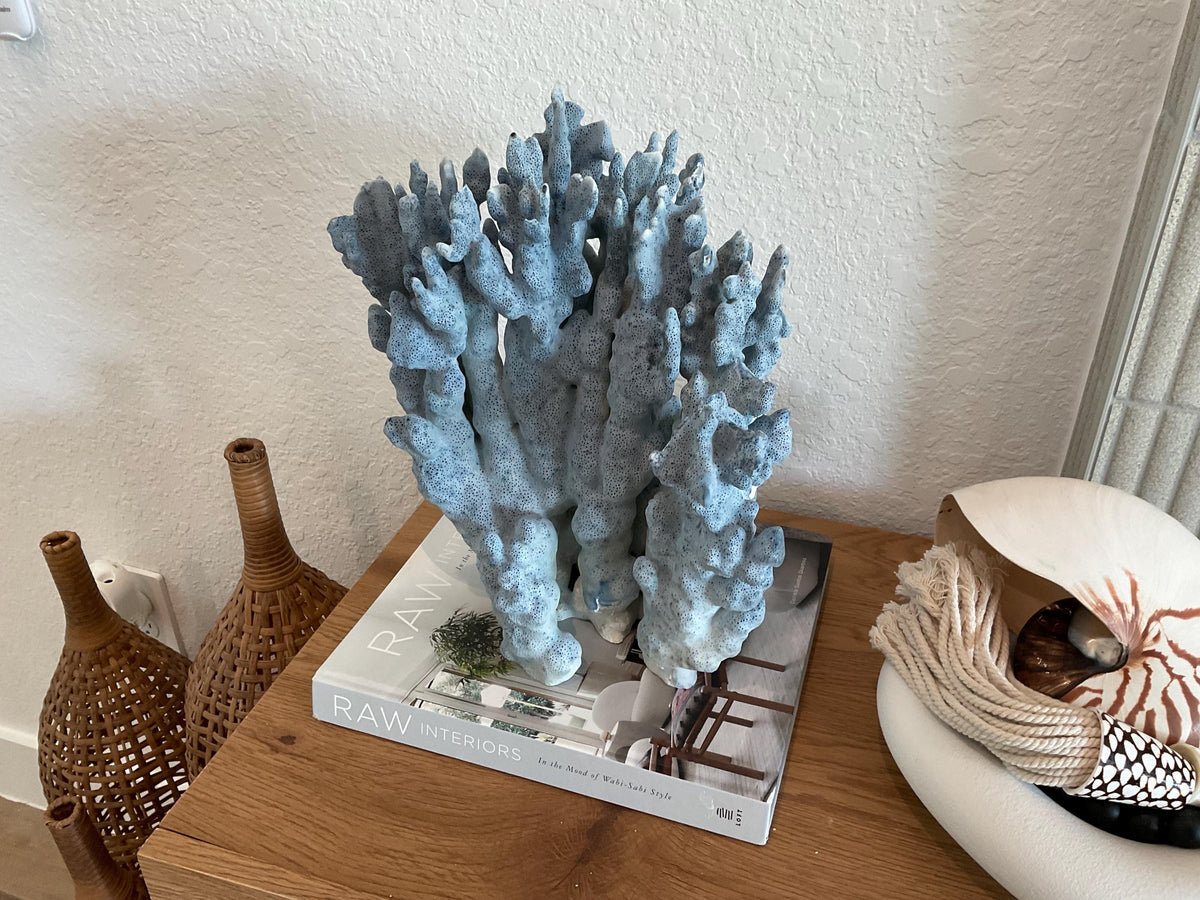Blue Ridge Coral Fossil Specimen: 14" x 11" x 7” Coastal Beach House Décor