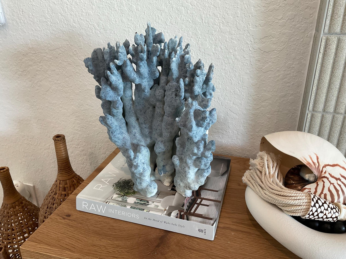 Blue Ridge Coral Fossil Specimen: 14" x 11" x 7” Coastal Beach House Décor