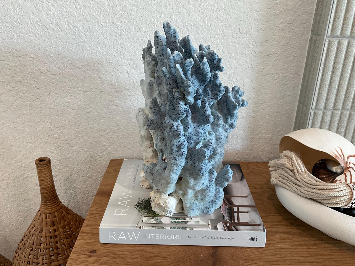 Blue Ridge Coral Fossil Specimen: 14" x 11" x 7” Coastal Beach House Décor