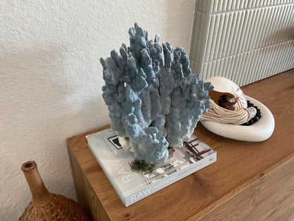 Blue Ridge Coral Fossil Specimen: 14" x 11" x 7” Coastal Beach House Décor