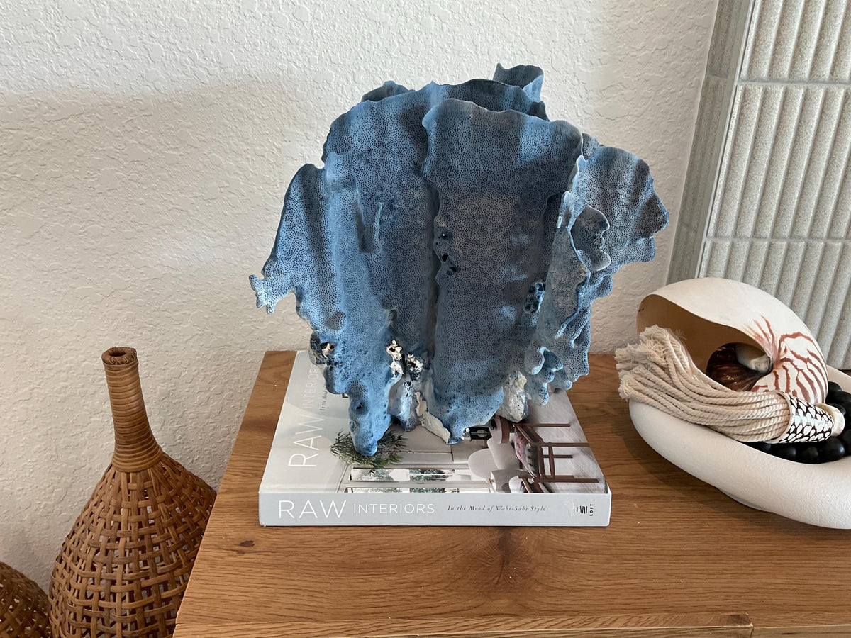 Blue Ridge Coral Fossil Specimen: 13" x 13" x 10” Coastal Beach House Décor