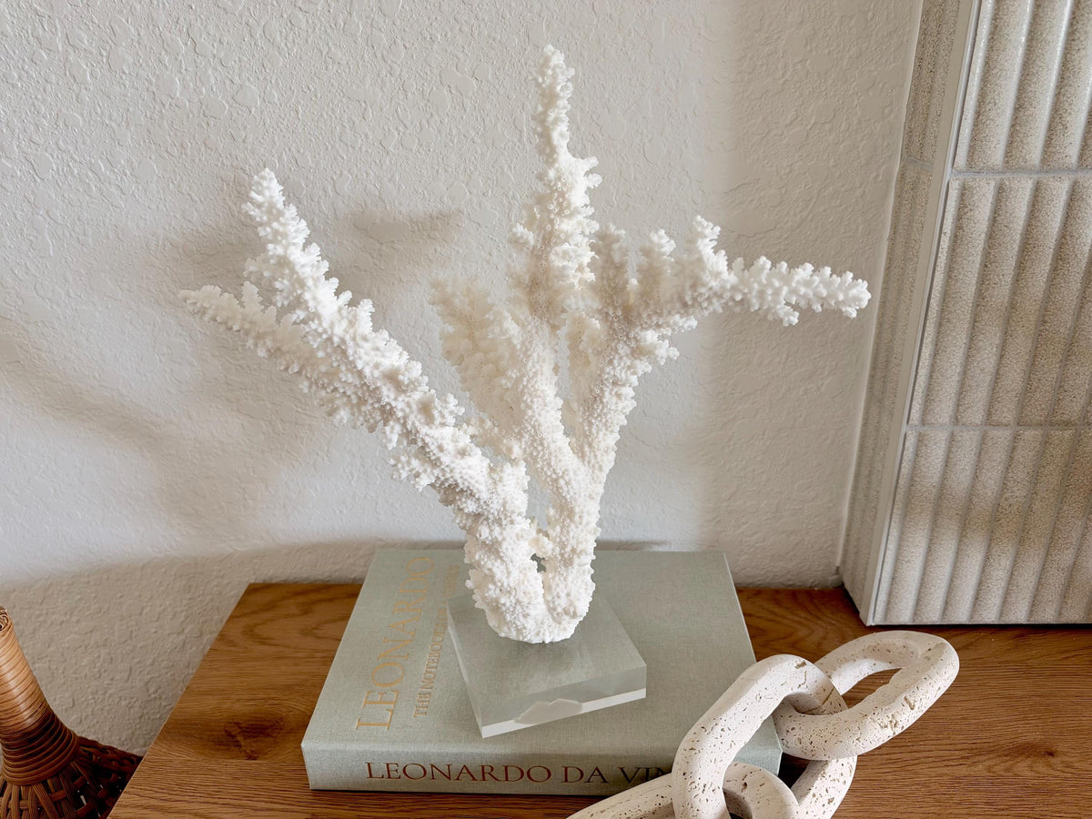 Real Branch Coral Fossil Specimen: 13" x 14" x 8.5" Coastal Décor (Lucite Mount)