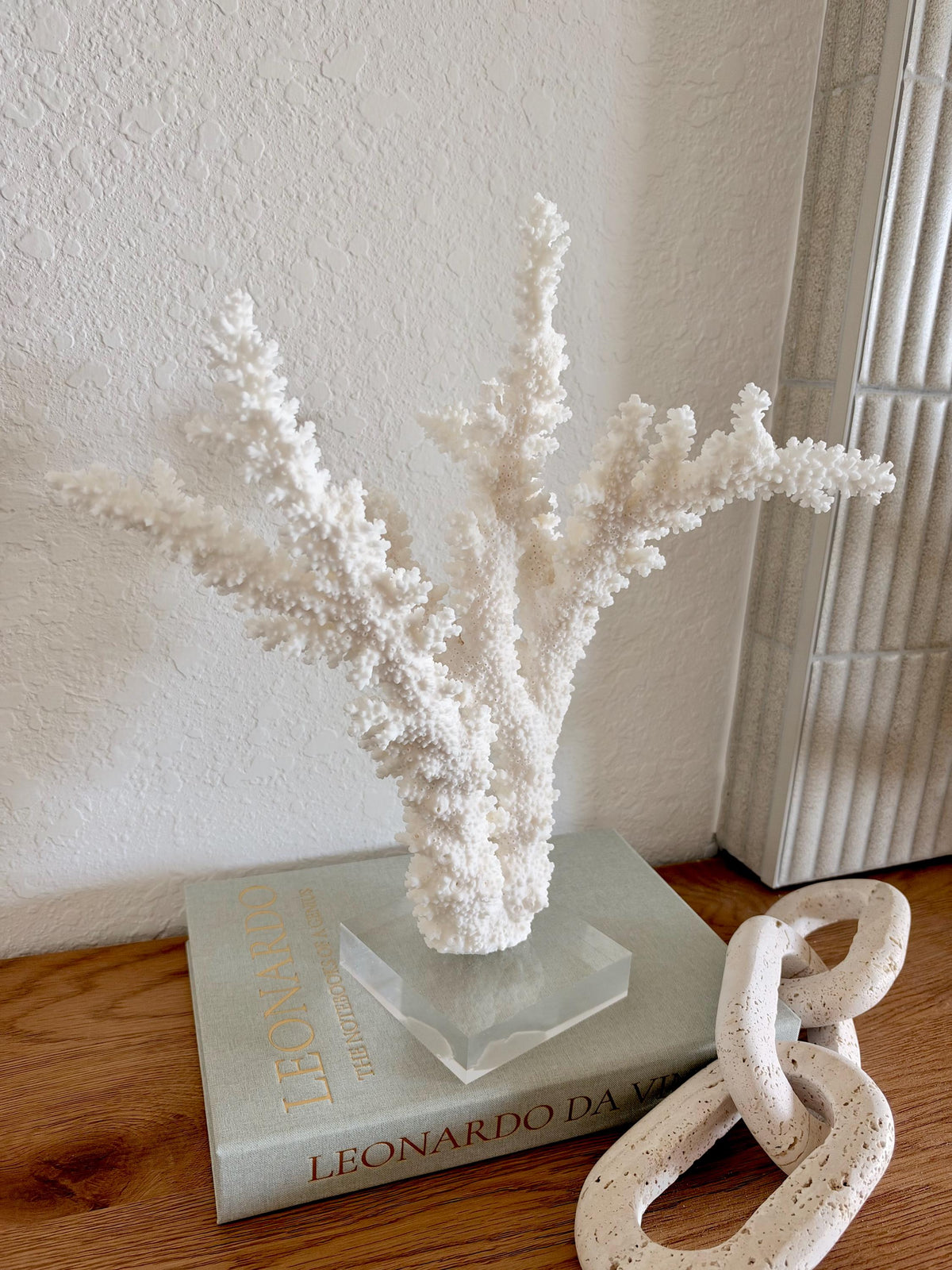 Real Branch Coral Fossil Specimen: 13" x 14" x 8.5" Coastal Décor (Lucite Mount)