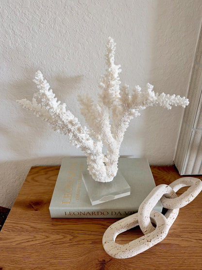 Real Branch Coral Fossil Specimen: 13" x 14" x 8.5" Coastal Décor (Lucite Mount)