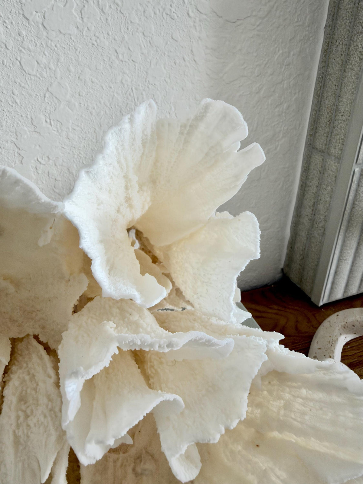 Natural Poca Coral Fossil: 10" x 9.5" x 8.5" Coastal Beach House White Décor