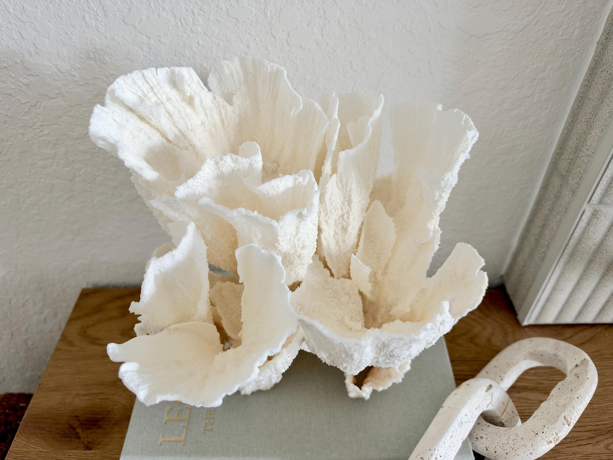 Natural Poca Coral Fossil: 10" x 9.5" x 8.5" Coastal Beach House White Décor