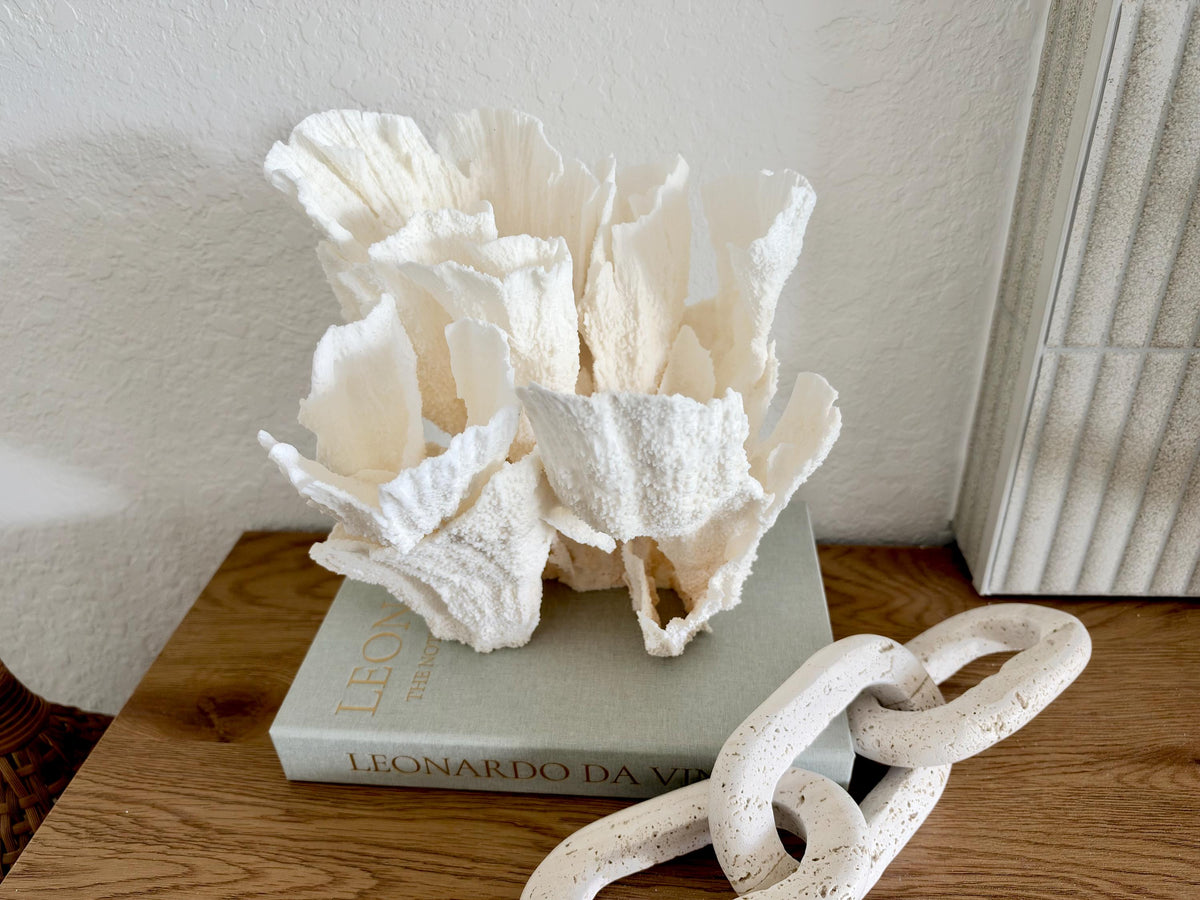 Natural Poca Coral Fossil: 10" x 9.5" x 8.5" Coastal Beach House White Décor