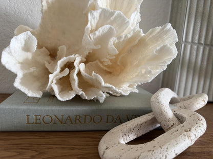Natural Poca Coral Fossil: 10" x 9.5" x 8.5" Coastal Beach House White Décor