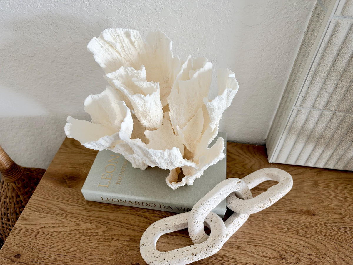 Natural Poca Coral Fossil: 10" x 9.5" x 8.5" Coastal Beach House White Décor
